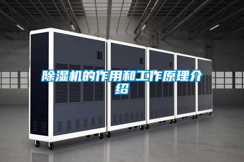 除濕機的作用和工作原理介紹