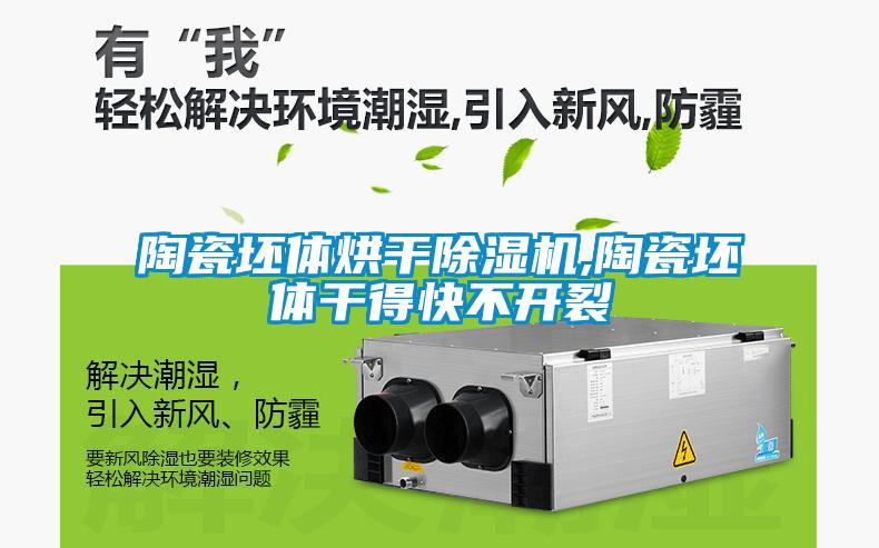 陶瓷坯體烘干除濕機,陶瓷坯體干得快不開(kāi)裂