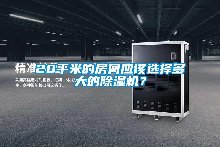 20平米的房間應該選擇多大的除濕機？