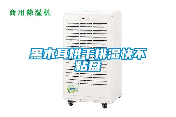黑木耳烘干排濕快不粘盤(pán)