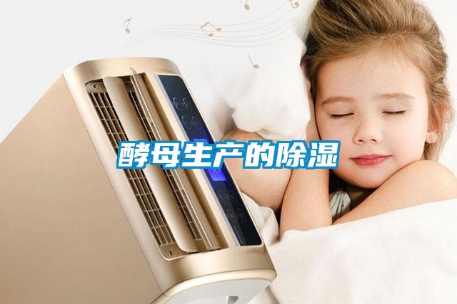 酵母生產(chǎn)的除濕