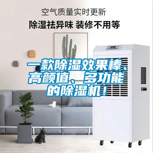 一款除濕效果棒、高顏值、多功能的除濕機！