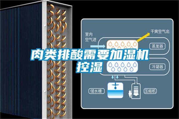 肉類(lèi)排酸需要加濕機控濕