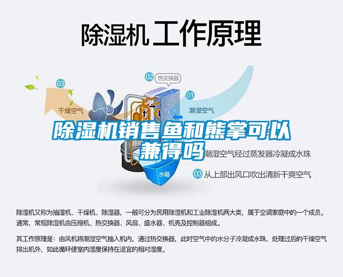 除濕機銷(xiāo)售魚(yú)和熊掌可以兼得嗎