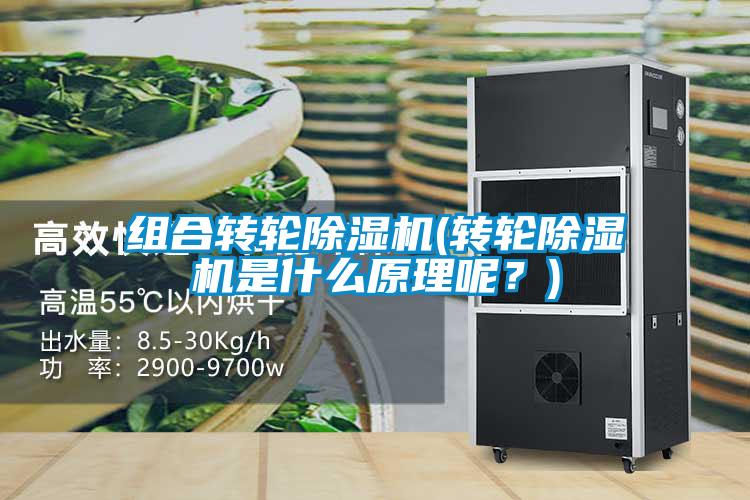 組合轉輪除濕機(轉輪除濕機是什么原理呢？)