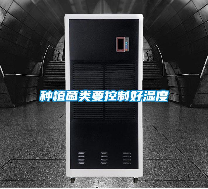 種植菌類(lèi)要控制好濕度