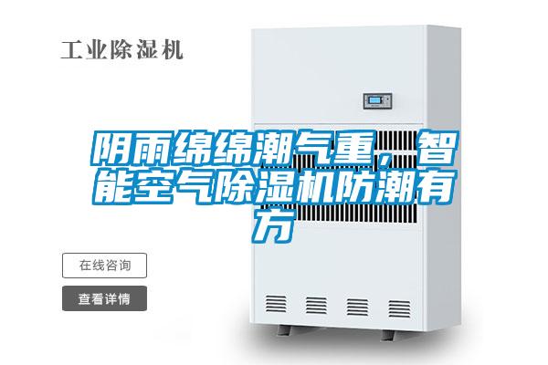 陰雨綿綿潮氣重，智能空氣除濕機防潮有方