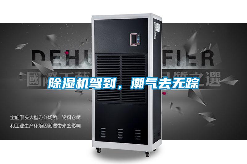 除濕機駕到，潮氣去無(wú)蹤