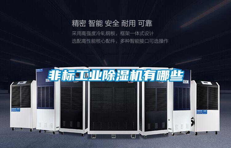 非標工業(yè)除濕機有哪些