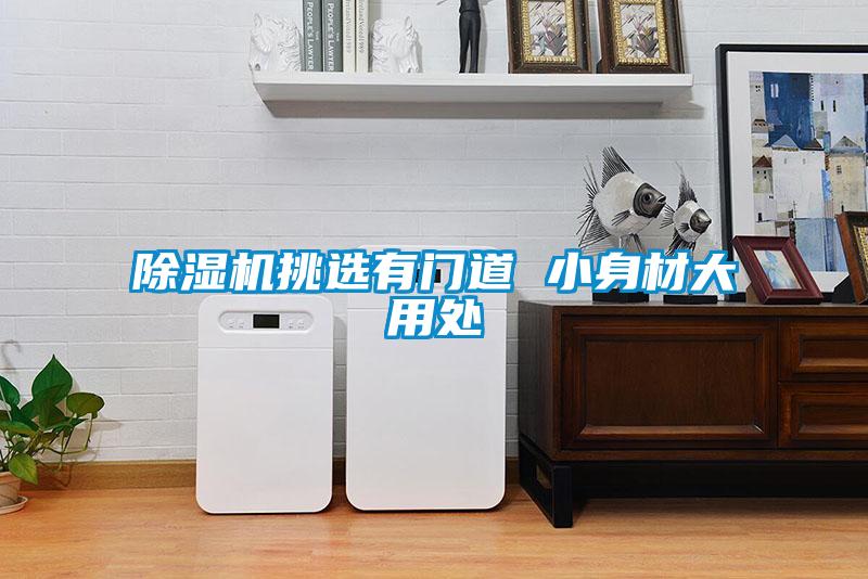 除濕機挑選有門(mén)道 小身材大用處