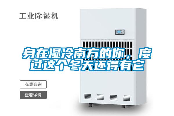 身在濕冷南方的你，度過(guò)這個(gè)冬天還得有它