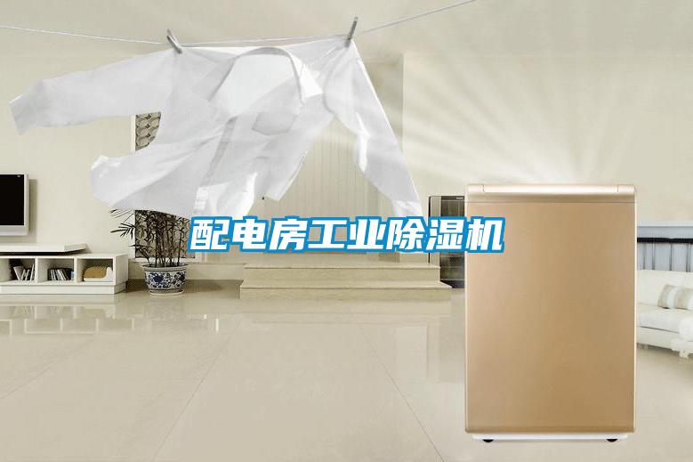 配電房工業(yè)除濕機