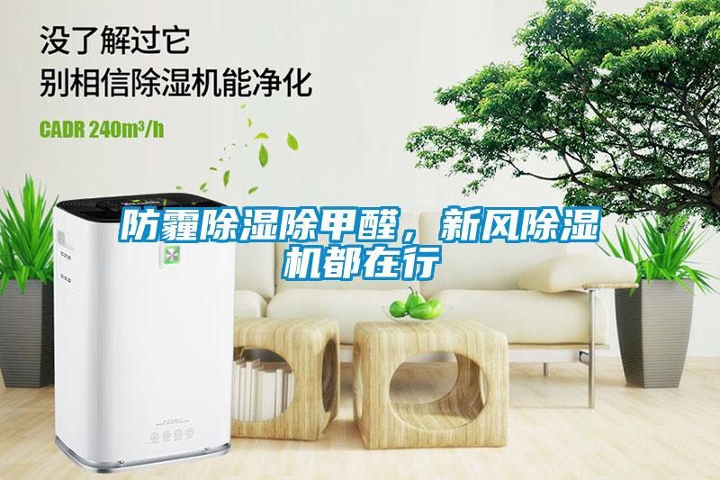 防霾除濕除甲醛，新風(fēng)除濕機都在行