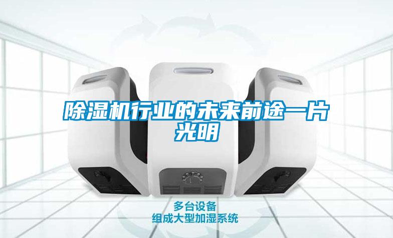 除濕機行業(yè)的未來(lái)前途一片光明