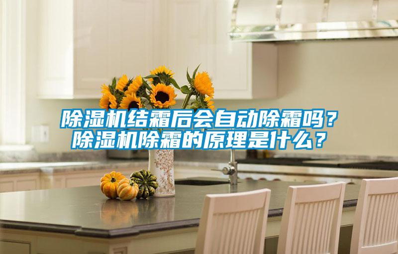 除濕機結霜后會(huì )自動(dòng)除霜嗎？除濕機除霜的原理是什么？