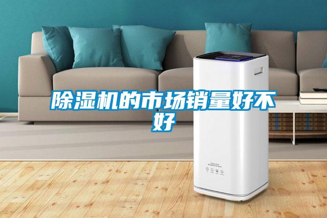除濕機的市場(chǎng)銷(xiāo)量好不好