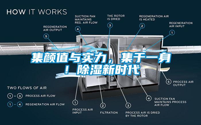 集顏值與實(shí)力，集于一身！除濕新時(shí)代