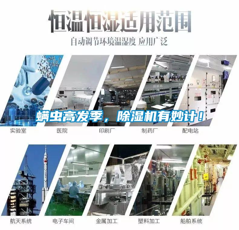 螨蟲(chóng)高發(fā)季，除濕機有妙計！
