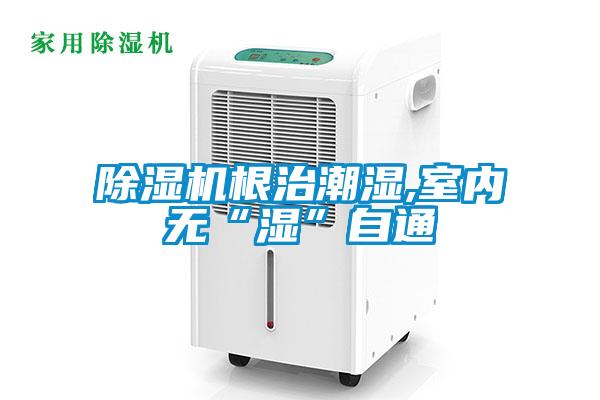 除濕機根治潮濕,室內無(wú)“濕”自通