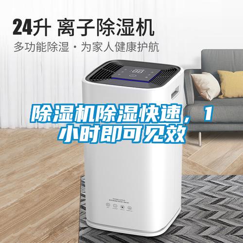 除濕機除濕快速，1小時(shí)即可見(jiàn)效