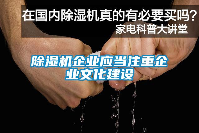 除濕機企業(yè)應當注重企業(yè)文化建設