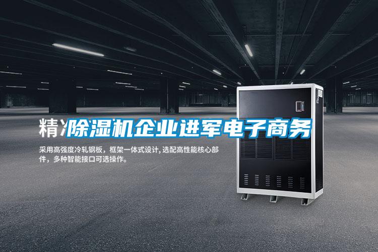 除濕機企業(yè)進(jìn)軍電子商務(wù)