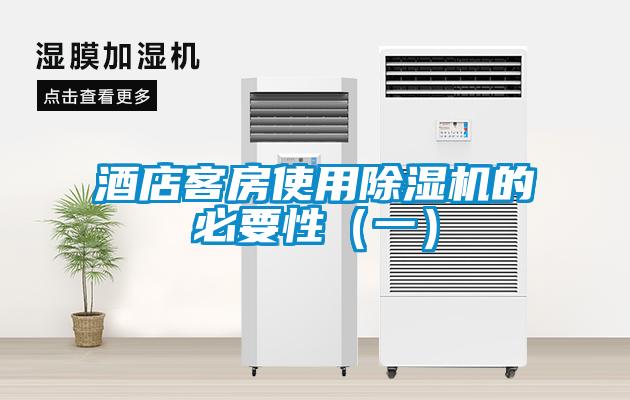 酒店客房使用除濕機的必要性（一）