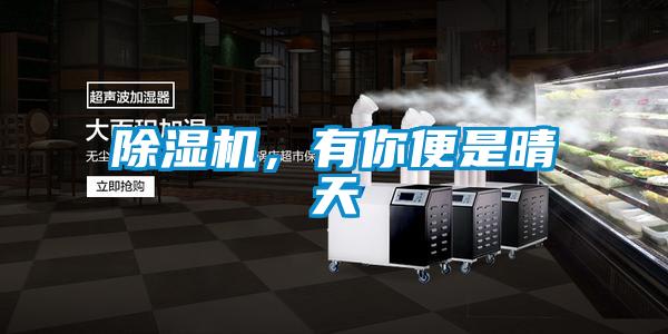 除濕機，有你便是晴天