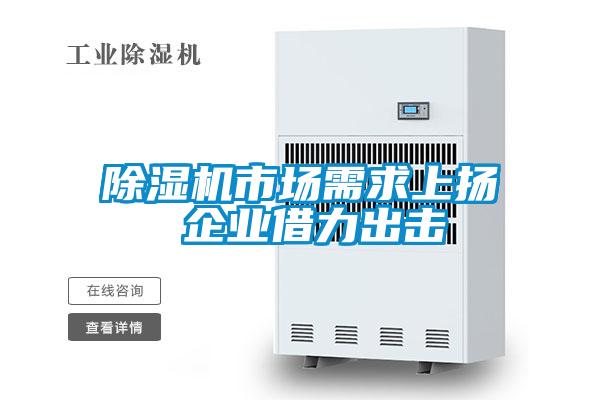 除濕機市場(chǎng)需求上揚 企業(yè)借力出擊