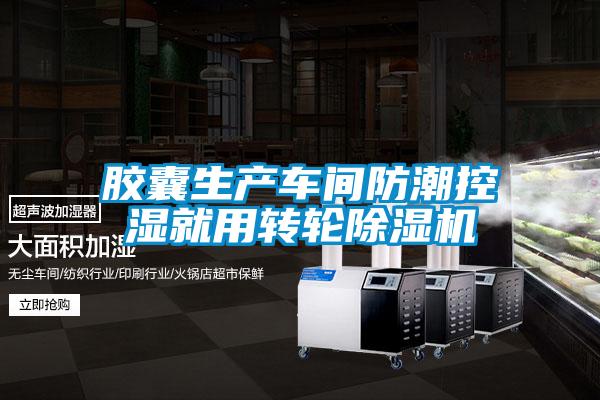 膠囊生產(chǎn)車(chē)間防潮控濕就用轉輪除濕機