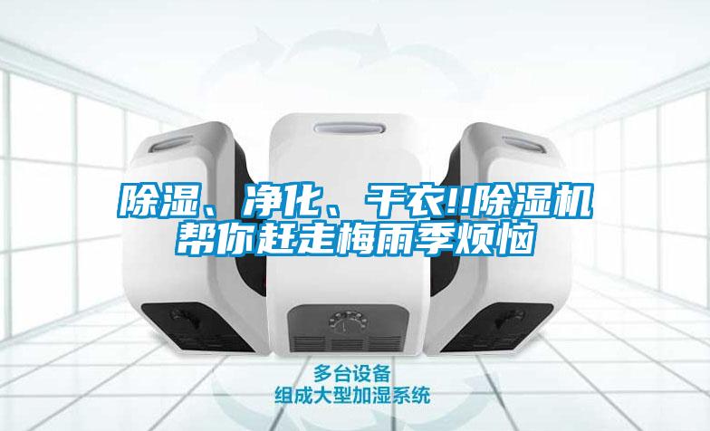 除濕、凈化、干衣!!除濕機幫你趕走梅雨季煩惱