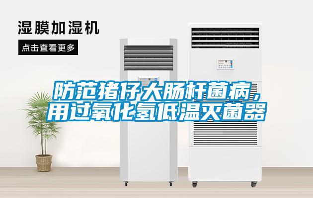 防范豬仔大腸桿菌病，用過(guò)氧化氫低溫滅菌器