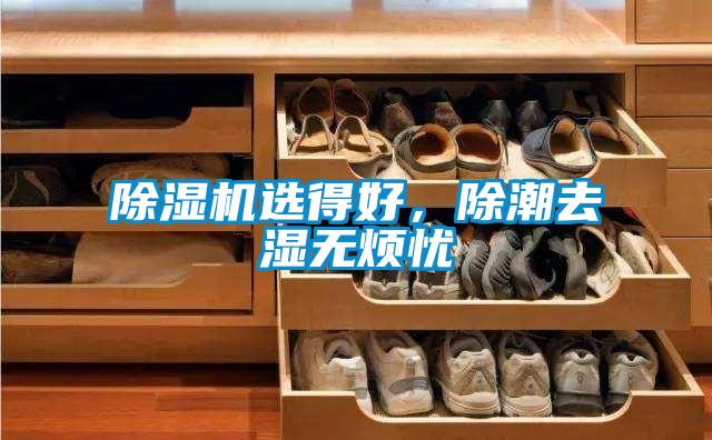 除濕機選得好，除潮去濕無(wú)煩憂(yōu)