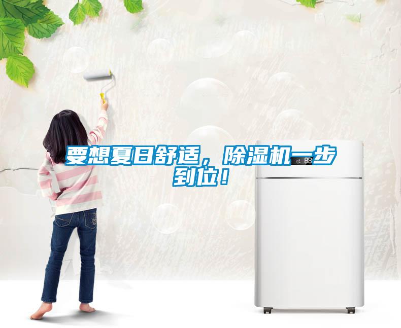 要想夏日舒適，除濕機一步到位！