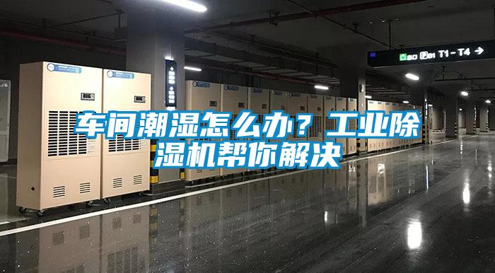 車(chē)間潮濕怎么辦？工業(yè)除濕機幫你解決
