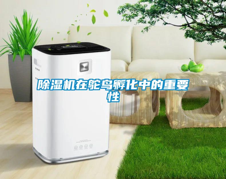 除濕機在鴕鳥(niǎo)孵化中的重要性
