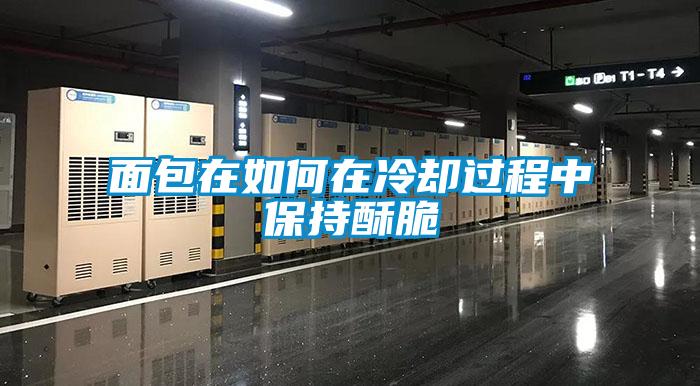 面包在如何在冷卻過(guò)程中保持酥脆