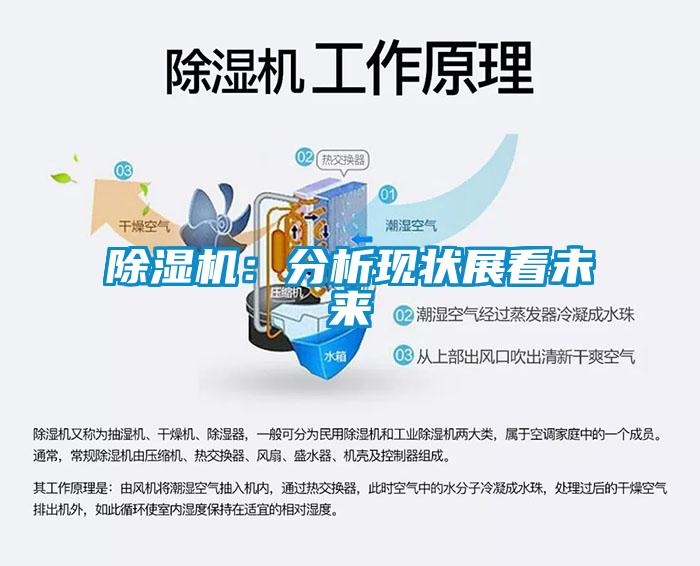 除濕機：分析現狀展看未來(lái)