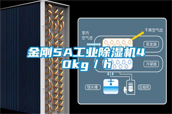 金剛5A工業(yè)除濕機40kg／h