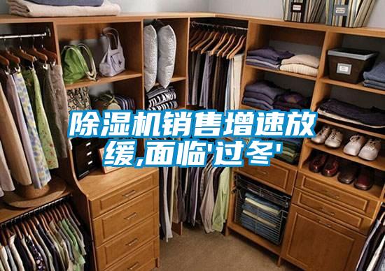 除濕機銷(xiāo)售增速放緩,面臨'過(guò)冬'