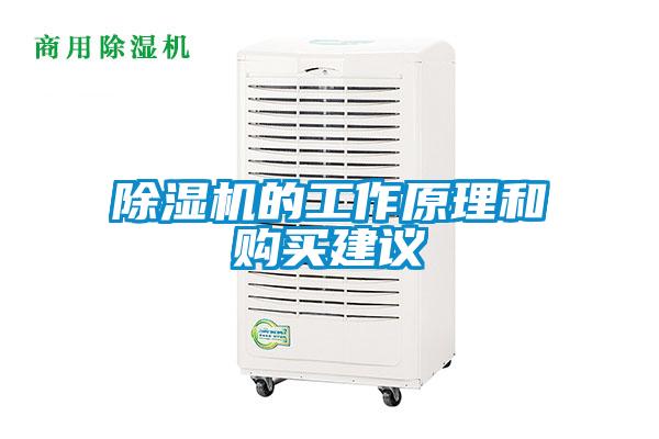 除濕機的工作原理和購買(mǎi)建議