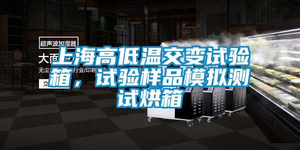 上海高低溫交變試驗箱，試驗樣品模擬測試烘箱