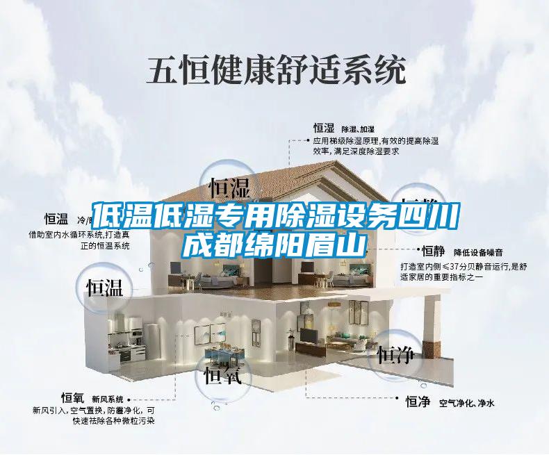 低溫低濕專(zhuān)用除濕設務(wù)四川成都綿陽(yáng)眉山
