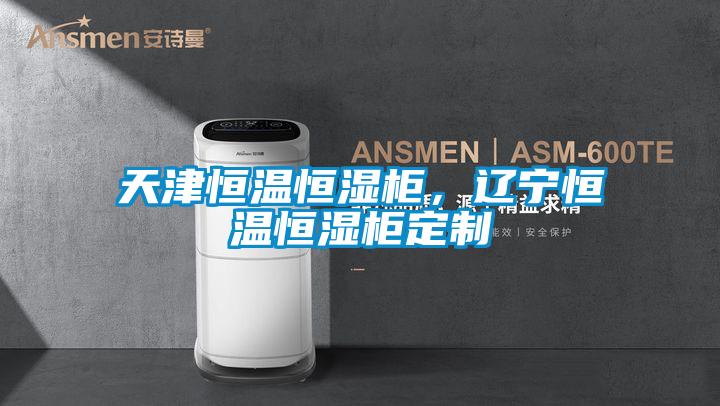 天津恒溫恒濕柜，遼寧恒溫恒濕柜定制