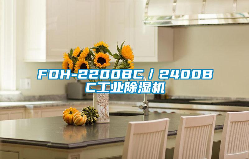 FDH-2200BC／2400BC工業(yè)除濕機
