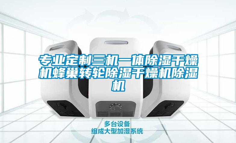 專(zhuān)業(yè)定制三機一體除濕干燥機蜂巢轉輪除濕干燥機除濕機