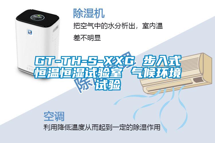 GT-TH-S-XXG 步入式恒溫恒濕試驗室 氣候環(huán)境試驗
