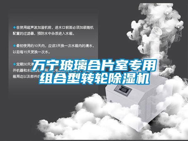 萬(wàn)寧玻璃合片室專(zhuān)用組合型轉輪除濕機