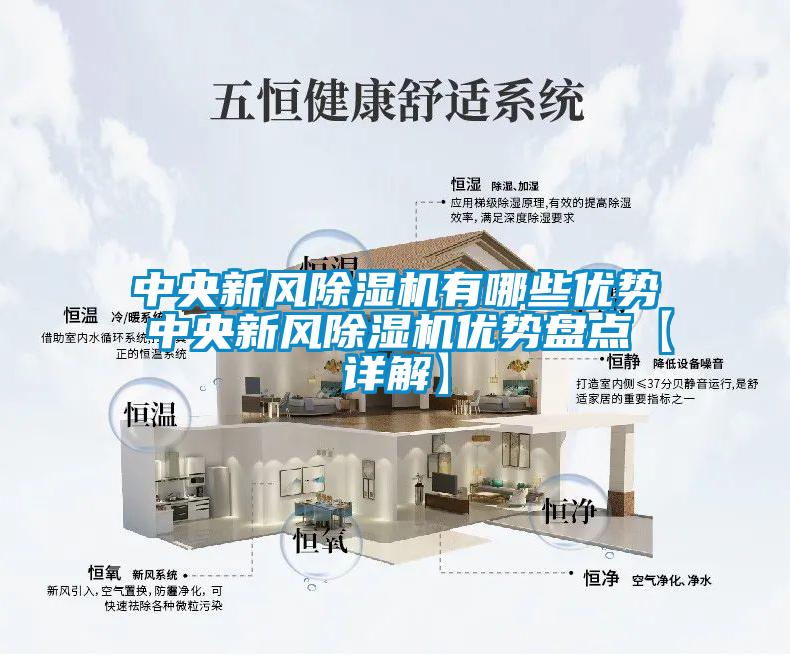 中央新風(fēng)除濕機有哪些優(yōu)勢 中央新風(fēng)除濕機優(yōu)勢盤(pán)點(diǎn)【詳解】