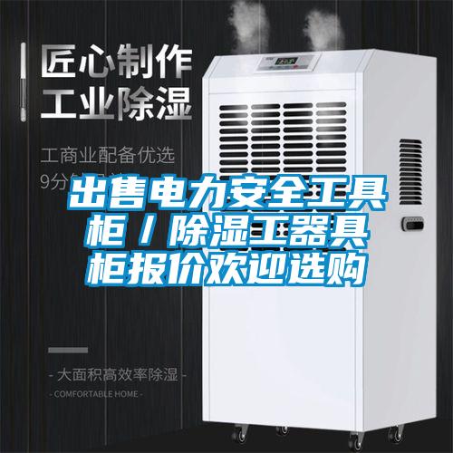 出售電力安全工具柜／除濕工器具柜報價(jià)歡迎選購